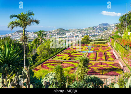 Giardino Formale in i giardini botanici di Madeira (Jardim Botanico), al di sopra della città capitale di Funchal, Madeira, Portogallo, Atlantico, Europa Foto Stock