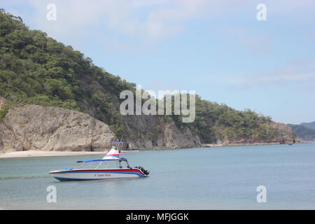 Tortuga, Montezuma, Costa Rica Foto Stock