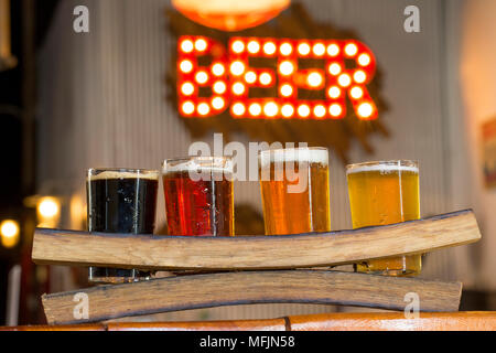 Un campionatore a volo di birra ad un birrificio locale. Foto Stock