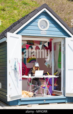 Bournemouth Dorset, Regno Unito. Il 26 aprile 2018. Regno Unito: meteo soleggiato e ventilato a Bournemouth. Donna al lavoro su laptop all'interno colorato beach hut ad Alum Chine con il Golden Retriever cane per la società. Credito: Carolyn Jenkins/Alamy Live News Foto Stock