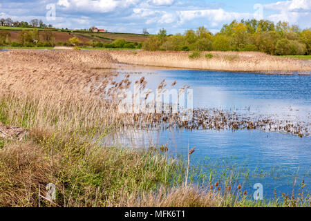 Wollaston, Northamptonshire. U.K. Il 26 aprile 2018. Primavera meteo oggi nel Northamptonshire. U.K. Credito: Keith J Smith./Alamy Live News Foto Stock