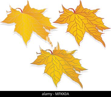 Foglie di autunno illustrazione colorata set isolato Illustrazione Vettoriale