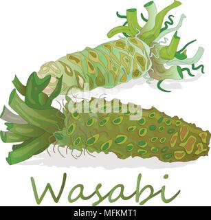 Wasabi giapponese illustrazione di rafano su bianco bacground. Illustrazione Vettoriale