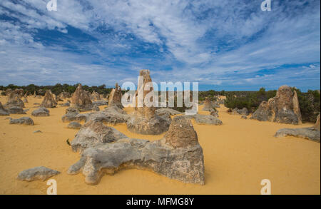 I Pinnacoli, formazioni di calcare all'interno di Nambung National Park, vicino alla città di Cervantes, Australia occidentale Foto Stock