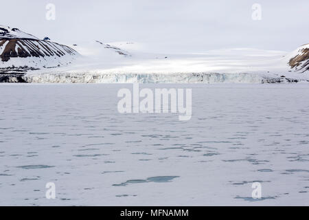 Paesaggio con ghiacciaio e pack di ghiaccio su un giorno coperto in Spitsbergen, Norvegia Foto Stock