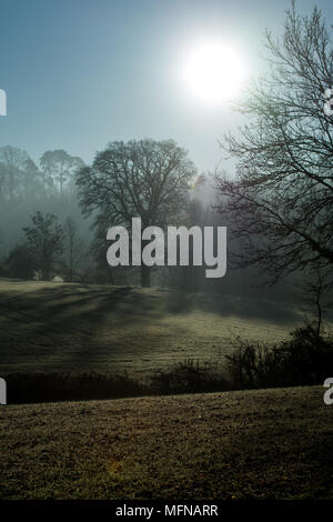 Un perfetto nebbioso e gelido mattina in Cotswolds Foto Stock