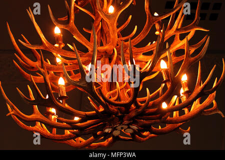 Lampadario fatto da cervi palchi. Lygon Arms, Broadway, Cotswolds, Foto Stock