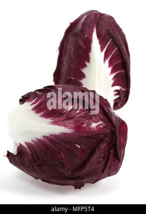 Trevise insalata, cichorium intybus contro uno sfondo bianco Foto Stock