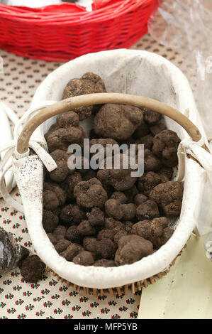 Il Perigord tartufo, tuber melanosporum, funghi al mercato Lalbenque, lotto nel sud-ovest della Francia Foto Stock