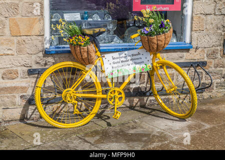 Verniciato giallo bicicletta con cesti di fiori in Middleton in Teesdale,l'Inghilterra,UK Foto Stock