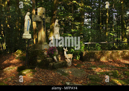 Un piccolo bosco cappella dedicata a St Genevieve vicino a St Julien Le Petit. Foto Stock