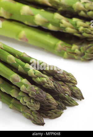 Asparagi verdi, Asparagus officinalis, Verdure contro uno sfondo bianco Foto Stock