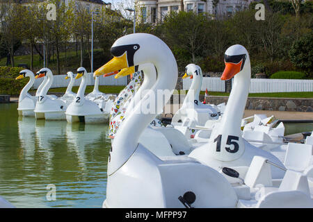 26 aprile 2018 Bangor Irlanda del Nord. Swan pedalò a tema per il noleggio nel popolare centro Pickie sedere vuoto su una fredda mattina di primavera Foto Stock