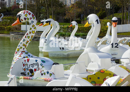 26 aprile 2018 Bangor Irlanda del Nord. Swan pedalò a tema per il noleggio nel popolare centro Pickie sedere vuoto su una fredda mattina di primavera Foto Stock