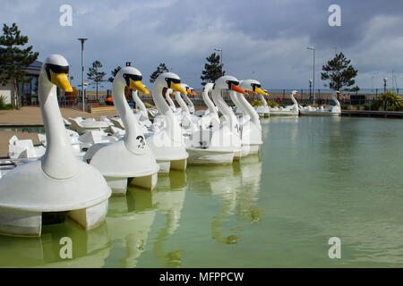 26 aprile 2018 Bangor Irlanda del Nord. Swan pedalò a tema per il noleggio nel popolare centro Pickie sedere vuoto su una fredda mattina di primavera Foto Stock