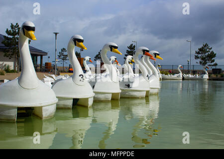 26 aprile 2018 Bangor Irlanda del Nord. Swan pedalò a tema per il noleggio nel popolare centro Pickie sedere vuoto su una fredda mattina di primavera Foto Stock