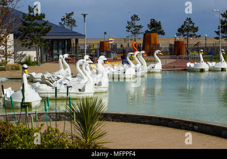 26 aprile 2018 Bangor Irlanda del Nord. Swan pedalò a tema per il noleggio nel popolare centro Pickie sedere vuoto su una fredda mattina di primavera Foto Stock