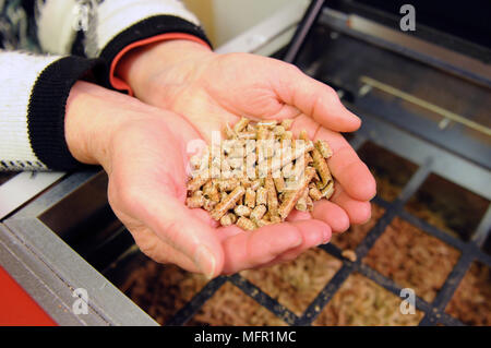 Bio combustibile essendo in mangimi in una caldaia di casa per risparmiare energia realizzato in legno riciclato agglomerati in forma di pellets Foto Stock