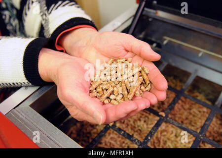 Bio combustibile essendo in mangimi in una caldaia di casa per risparmiare energia realizzato in legno riciclato agglomerati in forma di pellets Foto Stock