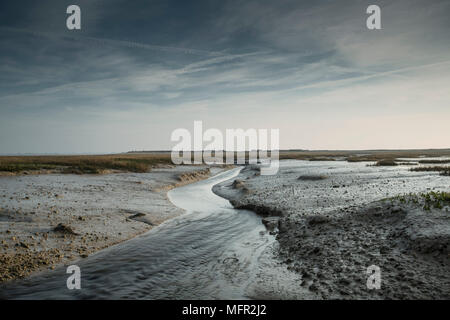 Creek a Pagham Harbour, REGNO UNITO Foto Stock