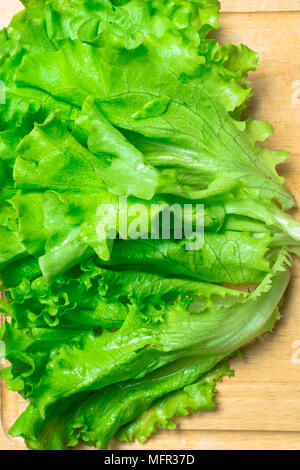 Pila di fresco e ricci letucce organico teste. Harvest mucchio di taglio fresco insalata verde lascia su di un tavolo di legno. Pulire il concetto di mangiare. Vegeteria sani Foto Stock