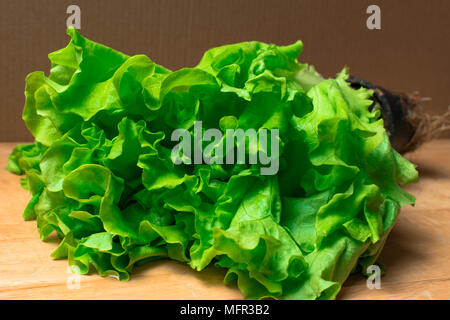 Pila di fresco e ricci letucce organico teste. Harvest mucchio di taglio fresco insalata verde lascia su di un tavolo di legno. Pulire il concetto di mangiare. Vegeteria sani Foto Stock