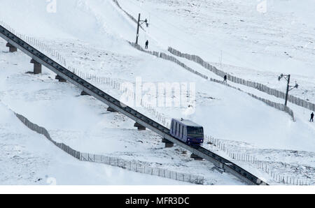 L'unica vettura della funicolare ferrovia di montagna che va dalla stazione base a Ptarmigan stazione superiore. Questa stazione è 1097 m sopra il livello del mare e appena al di sotto di Foto Stock