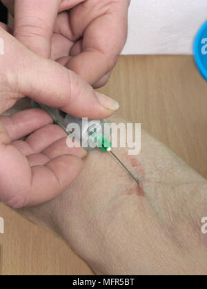 Donna anziana avente un esame di sangue prelevato (esami del sangue sono ora una funzione periodica per il monitoraggio di diverse condizioni) Foto Stock