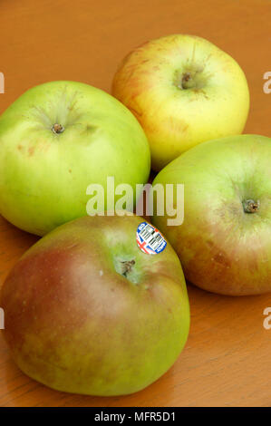 Bramley mele per la cottura con un britannica Union Jack segno del logo Foto Stock