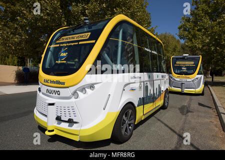 Due driverless Intellibus autobus sottoposti a una prova di guida per le strade di Perth Western Australia. Foto Stock