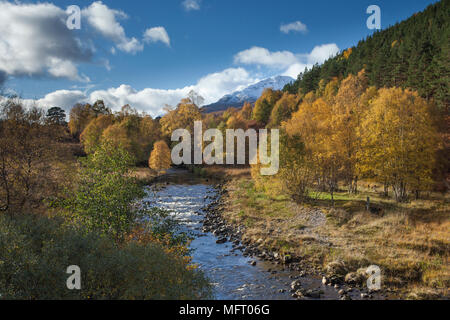 Sgurr na Lapaich da vicino il Chisholm ponte in Glen Affric, Scotland, Regno Unito Foto Stock