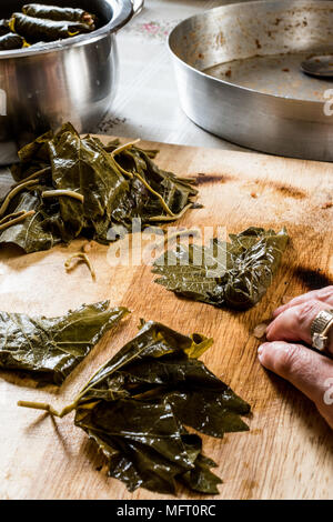 La donna è un involucro di foglie di uva per bagno turco dolma con carne macinata. cibo fatto in casa. Foto Stock