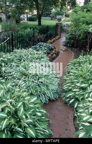 Il percorso tortuoso attraverso giardino adornato con hosta Foto Stock