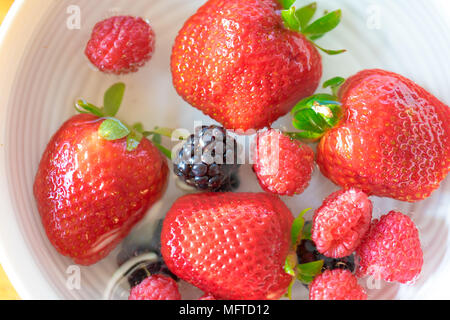 Fragole, lamponi e more flottante in una tazza di acqua Foto Stock