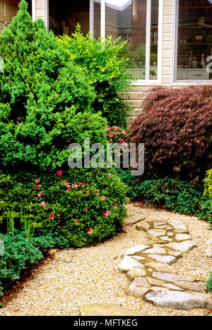 Percorso di pietra in mezzo a coltivazioni di Acer palmatum dissectum 'mai Red', Juniperus horizontalis Wiltonii "', Picea glauce 'Conica' e Rhododendron satsuki ' Foto Stock