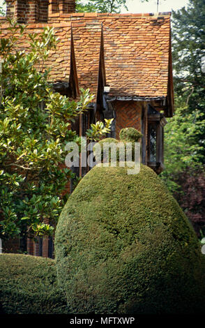 Topiaria da arbusti in giardino con esterno di Dorney Country Manor House in background Foto Stock