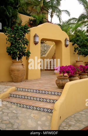 Il Bougainvillea in vasi su area lastricata di villa Foto Stock