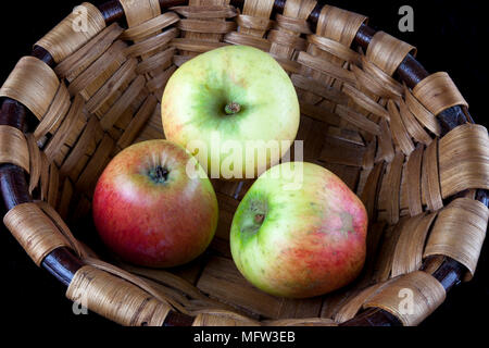 Antico tedesco Apple Cultivar 'Rheinland Ruhm' Foto Stock