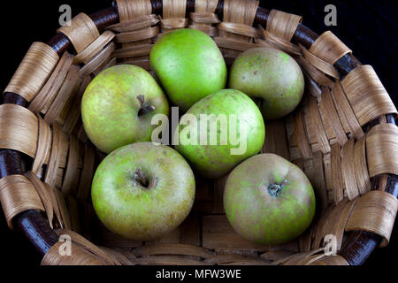 Antico tedesco Apple Cultivar 'Graue Herbstrenette' Foto Stock