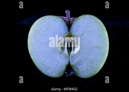 Antico tedesco Apple Cultivar 'Graue Herbstrenette' Foto Stock