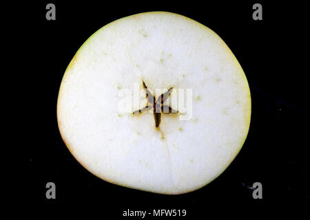 Antico tedesco Apple Cultivar 'Eifeler Rambur' Foto Stock