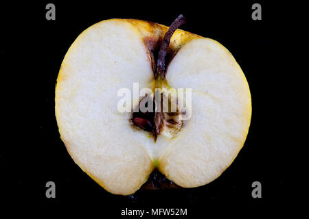 Antico tedesco Apple Cultivar 'Degers Renette' Foto Stock