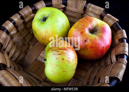 Antico tedesco Apple Cultivar 'Breitauge' Foto Stock