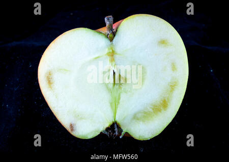 Antico tedesco Apple Cultivar 'Breitauge' Foto Stock