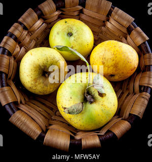 Antico tedesco Apple Cultivar 'Degers Renette' Foto Stock