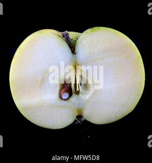 Antico tedesco Apple Cultivar 'Degers Renette' Foto Stock