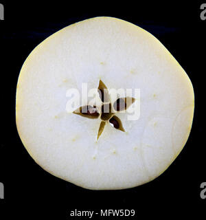 Antico tedesco Apple Cultivar 'Degers Renette' Foto Stock