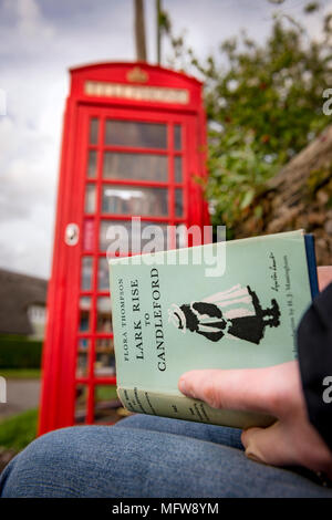 Hinxton, Cambridgeshire. Una cabina telefonica è ridefinito come una biblioteca. Foto Stock