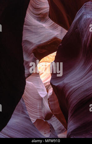 La liscia forme di pietra arenaria di abbassare Antelope Canyon vicino a pagina, Arizona Foto Stock