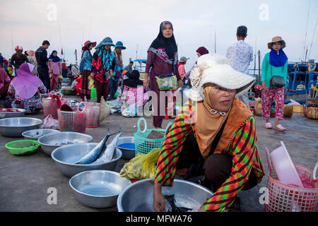 Il mercato del pesce di Kampot, Cambogia Foto Stock